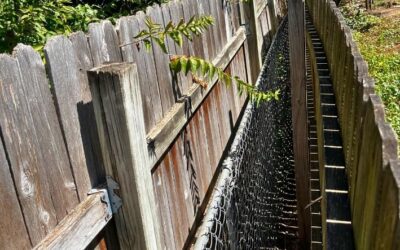 Fence Etiquette: Navigating Shared Fences with Neighbors