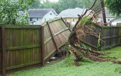 Fence Repairs: Which Neighbor is Responsible?