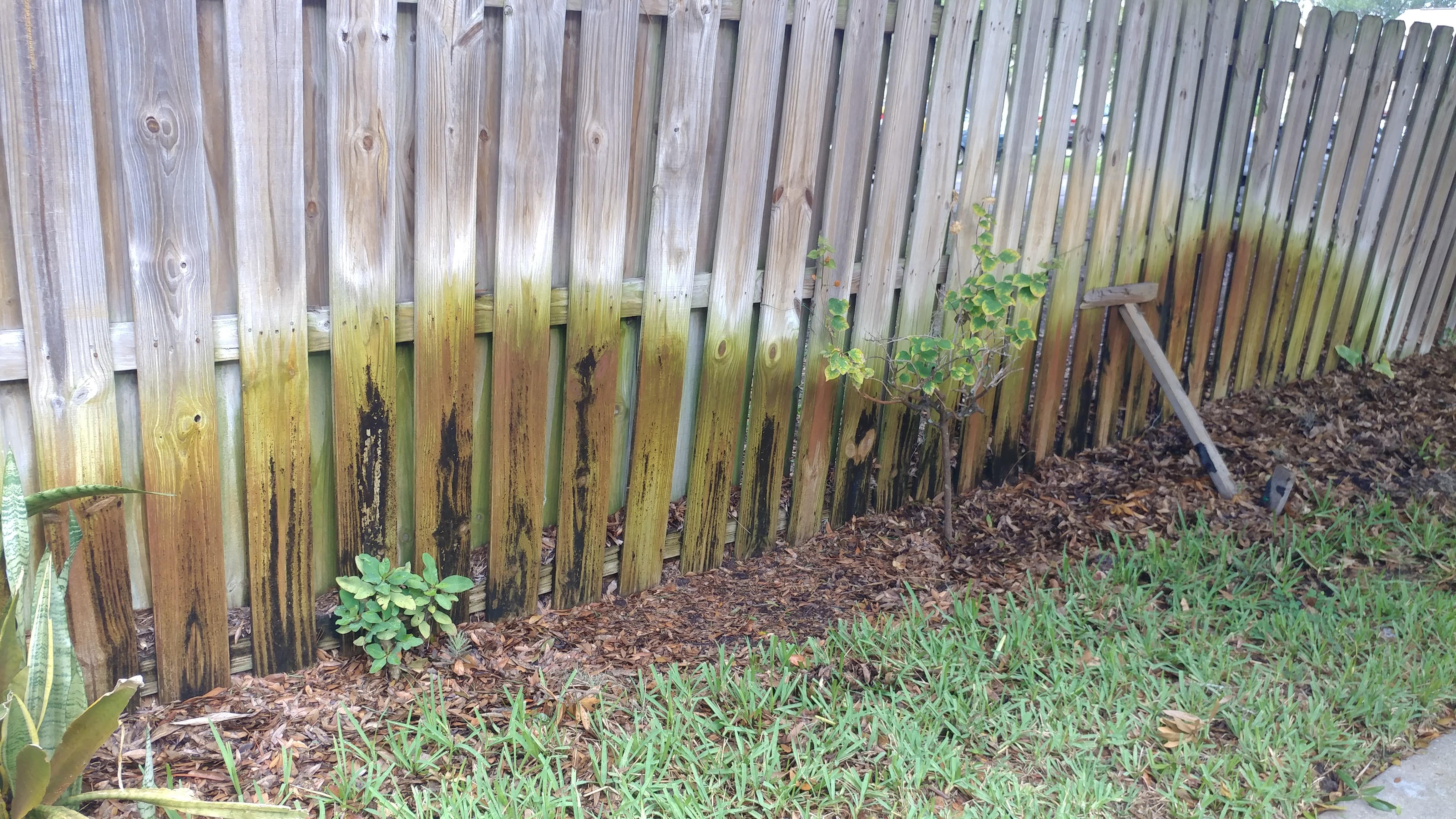 Who Pays for Fence Replacement?